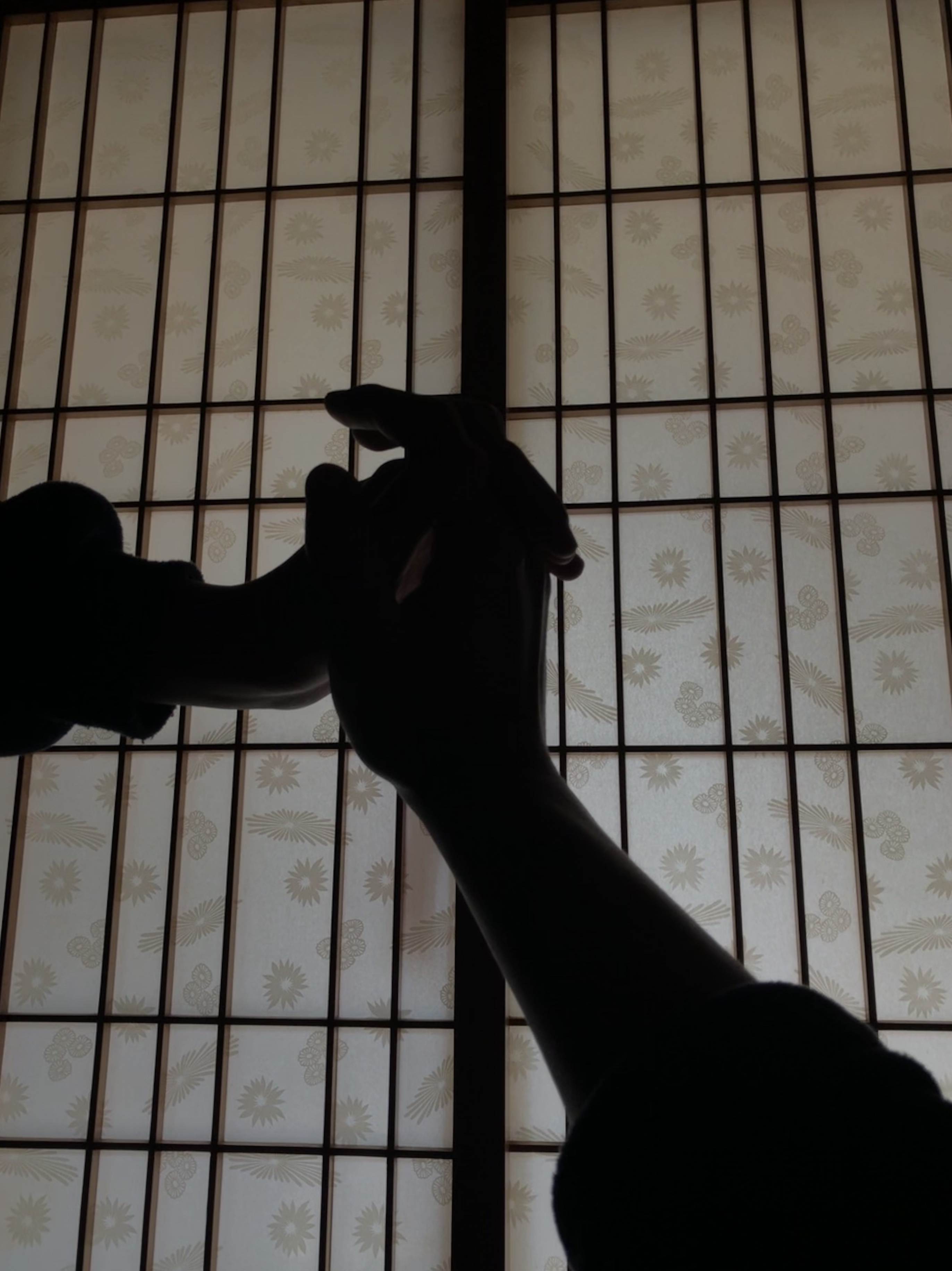 我记得当时发了一个朋友圈还是空间，内容是今年的第一次牵手