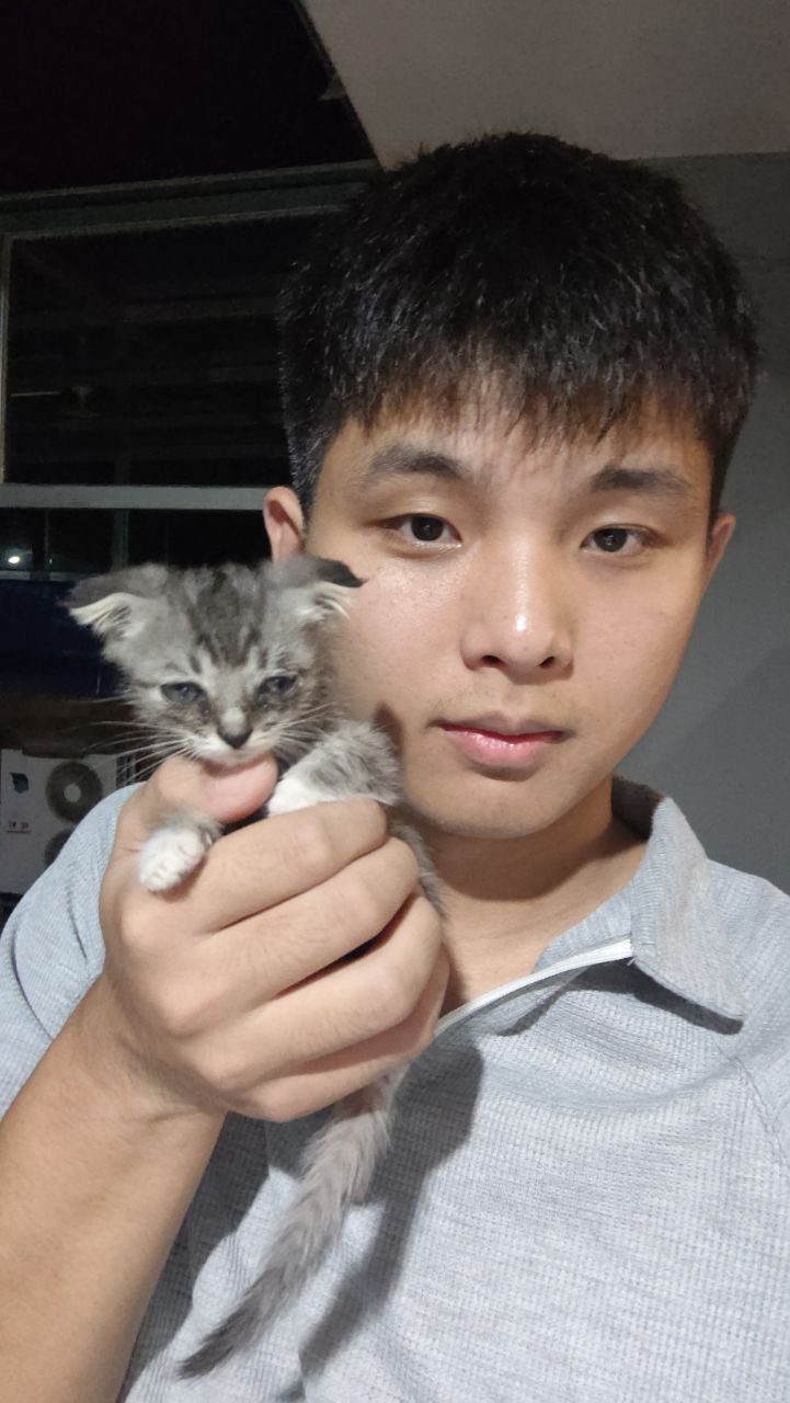 回老家后，出国前养了两只猫，不过这一只后来不见了